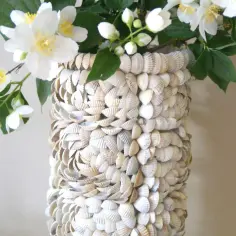 Najlepsze pomysły na DIY z muszelek do wyjątkowych dekoracji